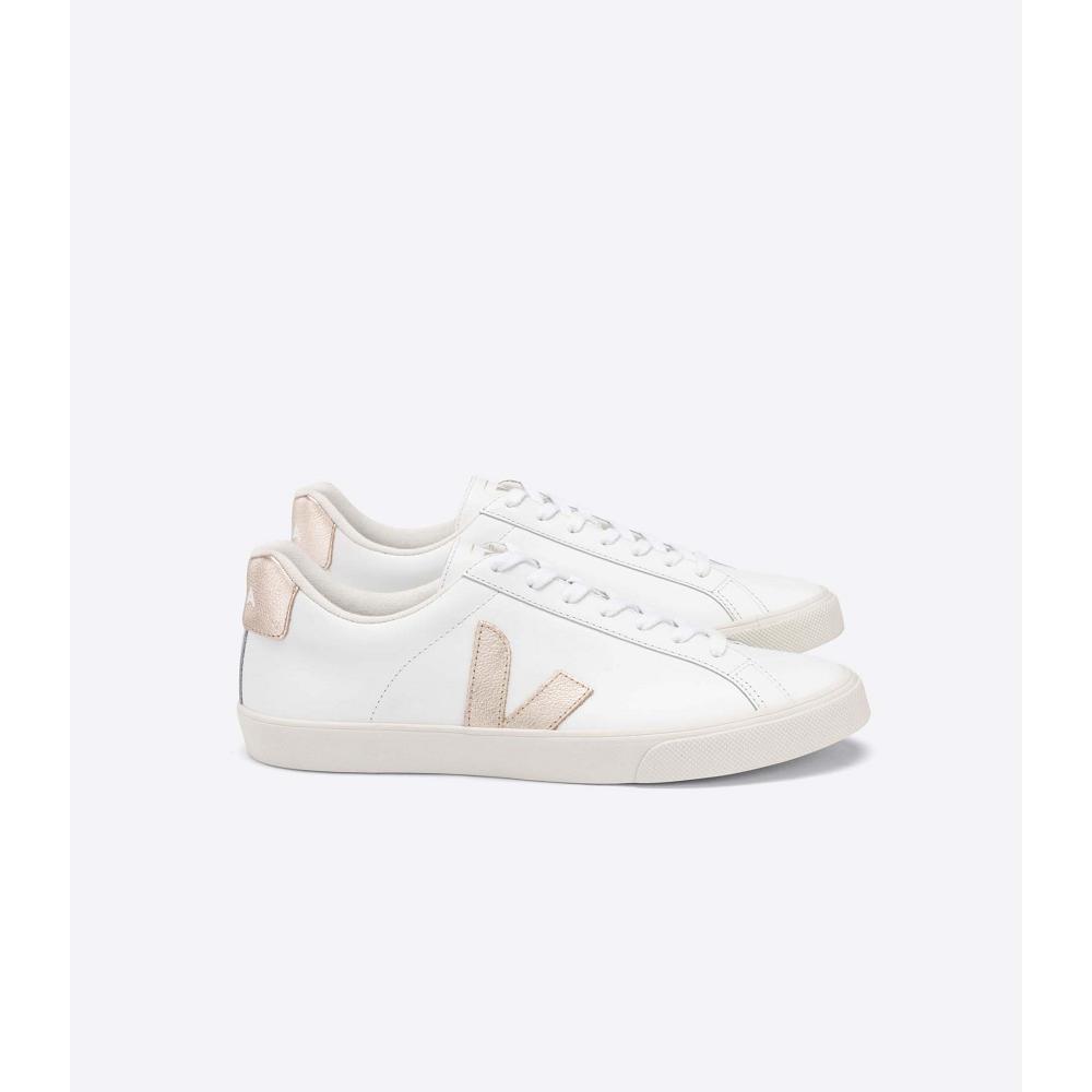 Veja ESPLAR LEATHER Tornacipő Női White/Brown | HU 606TCE